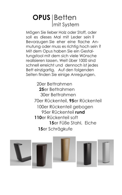 Flyer / Prospekt